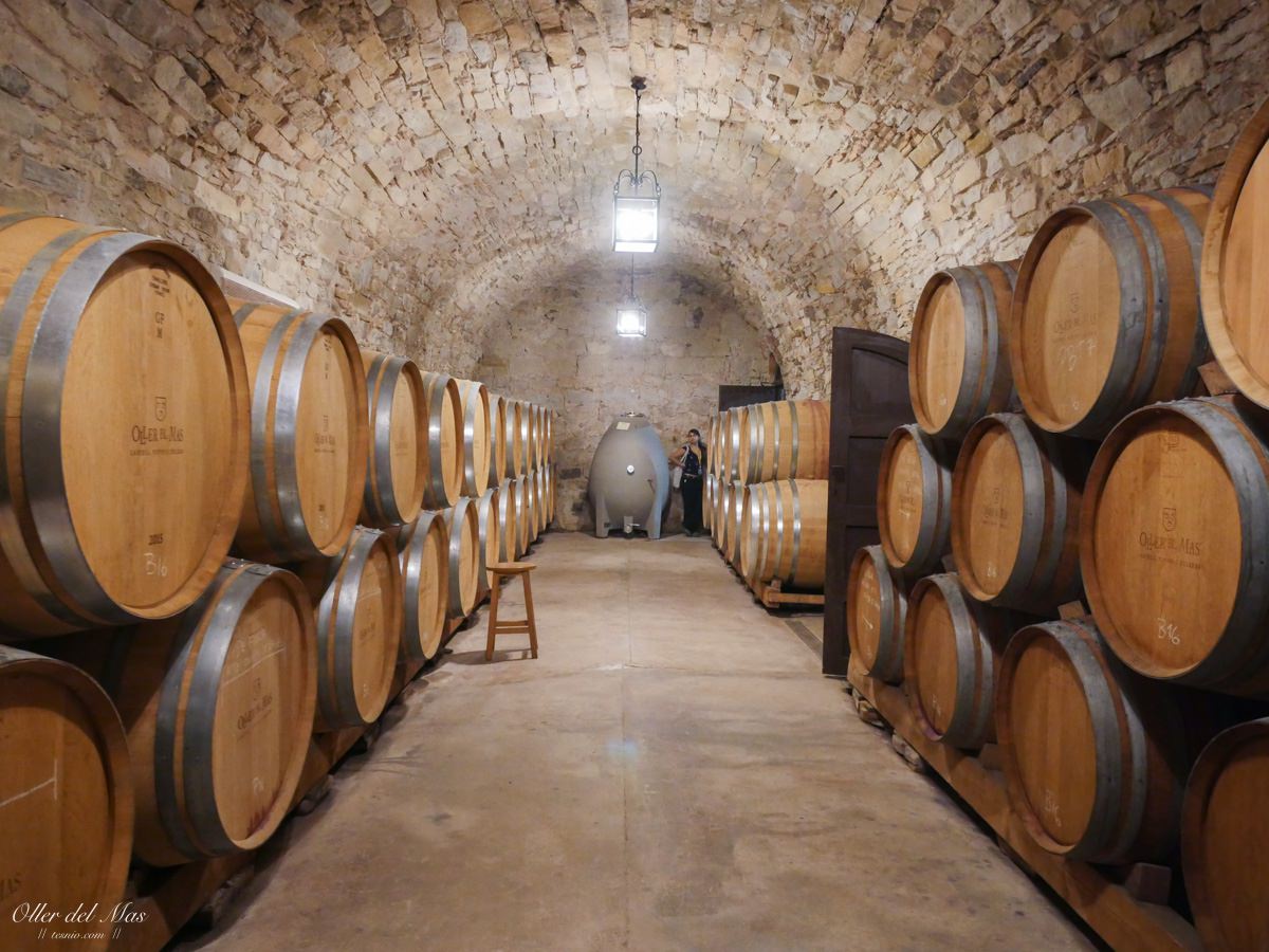 西班牙巴塞隆納近郊景點 蒙塞拉特山、葡萄酒莊古堡一日遊