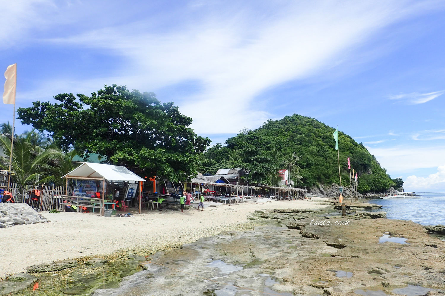 菲律賓杜馬蓋地阿波島 Apo Island 浮潛看海龜