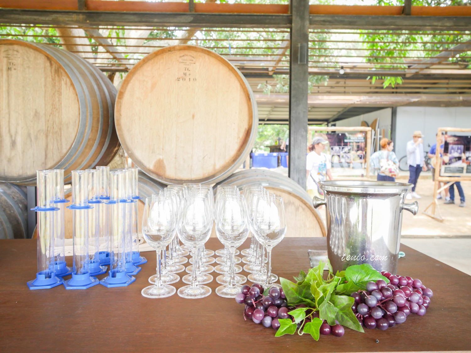 泰國華欣景點 Monsoon Valley Vineyard 葡萄酒莊園