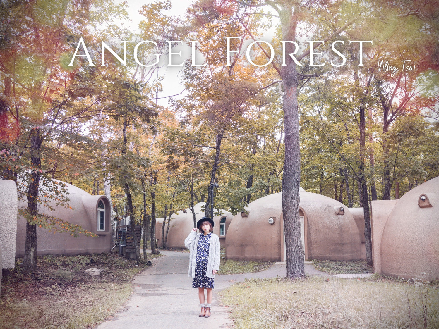 日本福島飯店 Angel Forest  天使之森那須白河 寵物友善住宿