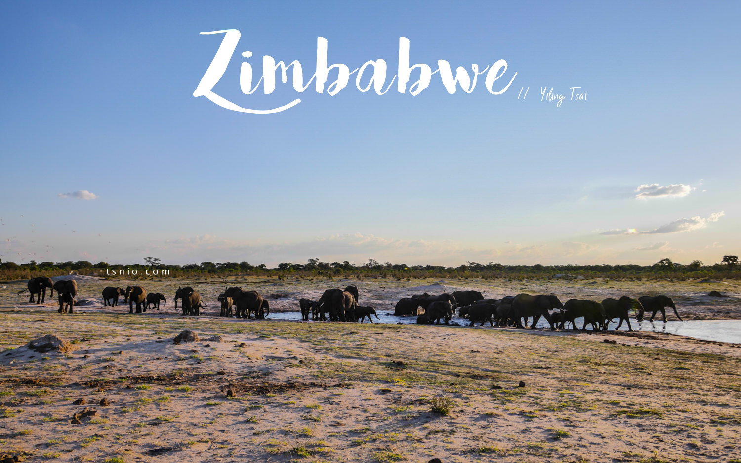 辛巴威景點 萬基國家公園 非洲獵遊初體驗 動物大集合