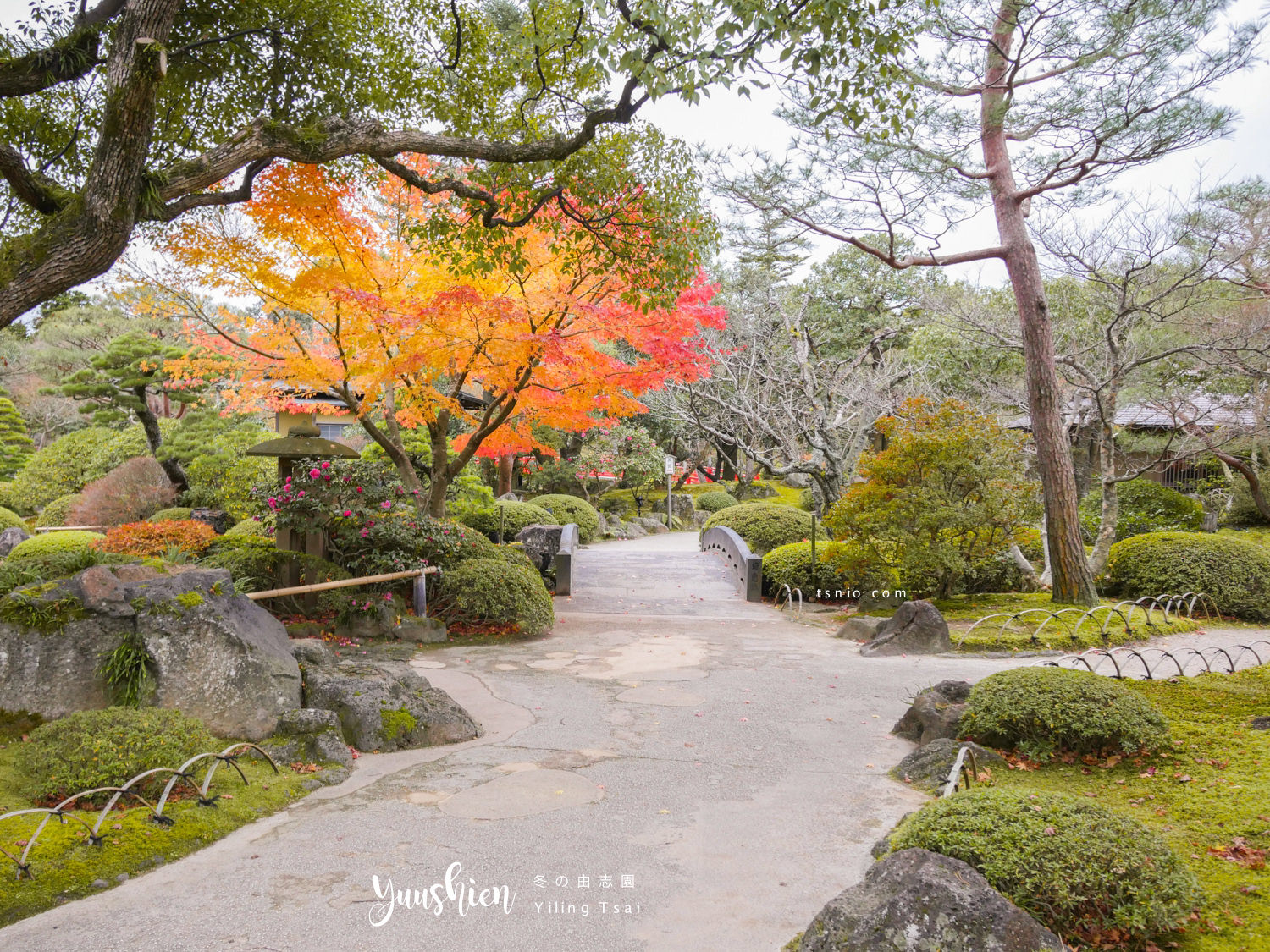 日本島根松江景點 由志園 最美的牡丹日式庭園