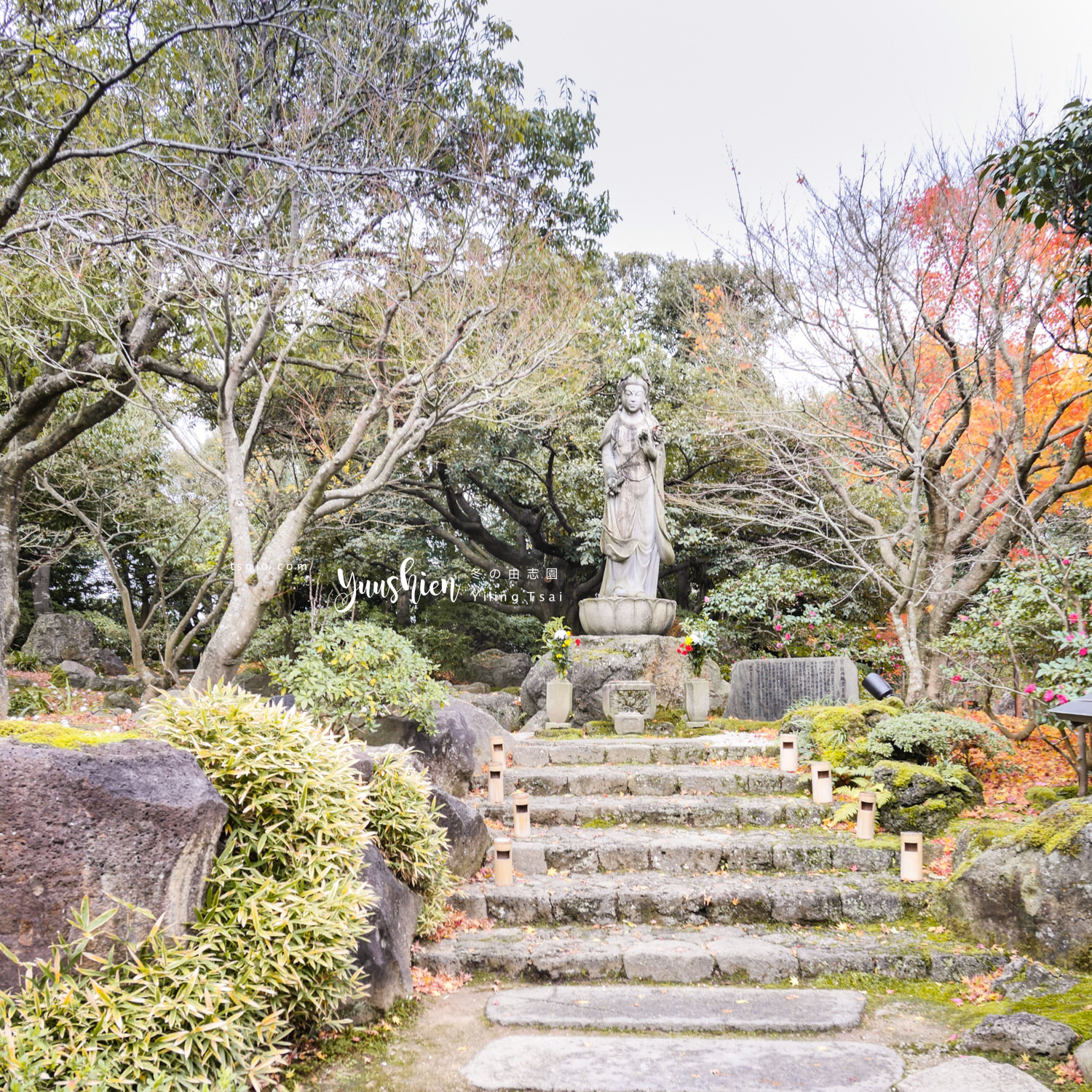 日本島根松江景點 由志園 最美的牡丹日式庭園