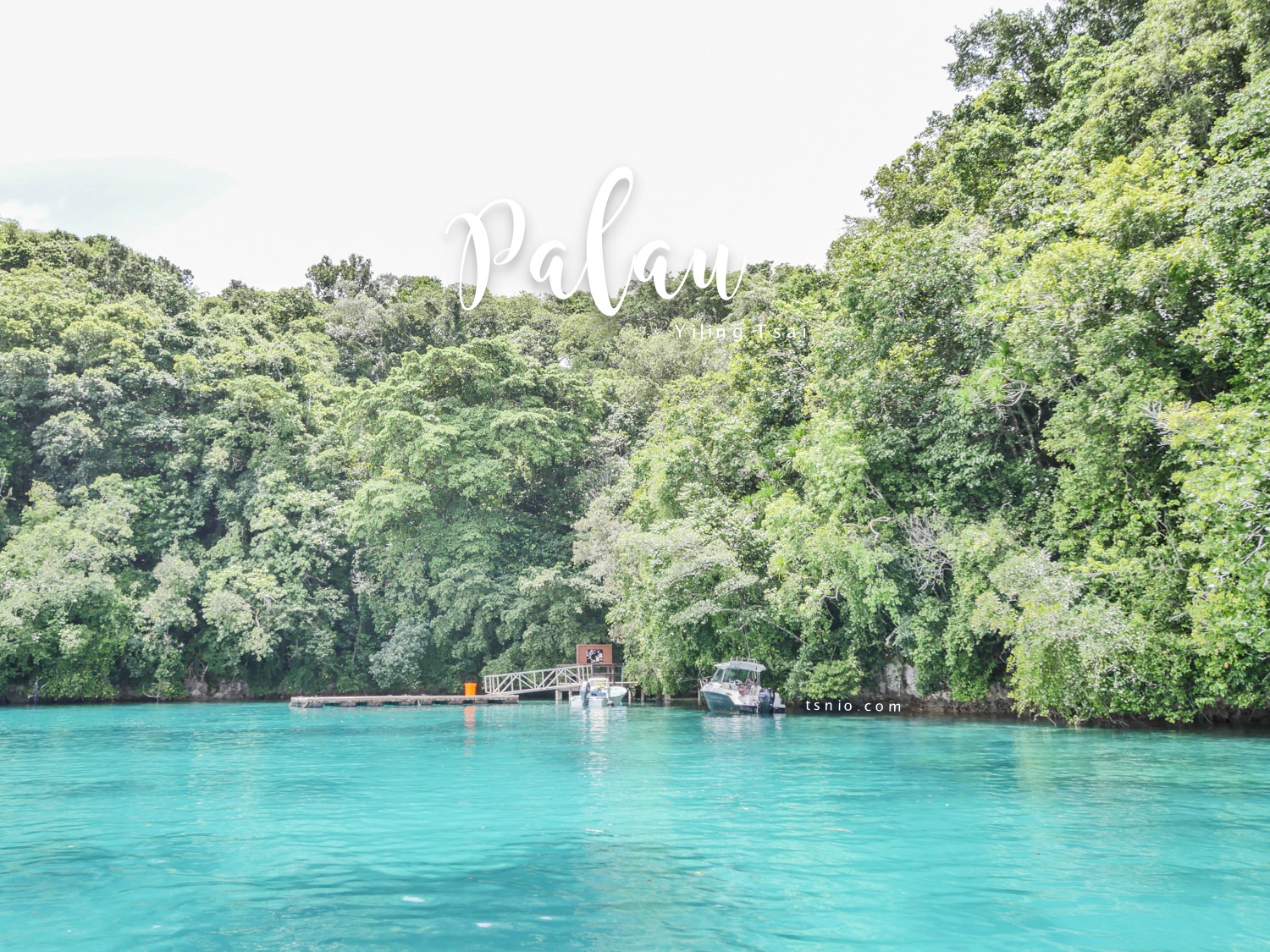 帛琉景點｜水母湖：夢幻水母天堂中浮潛，最具帛琉代表性景點