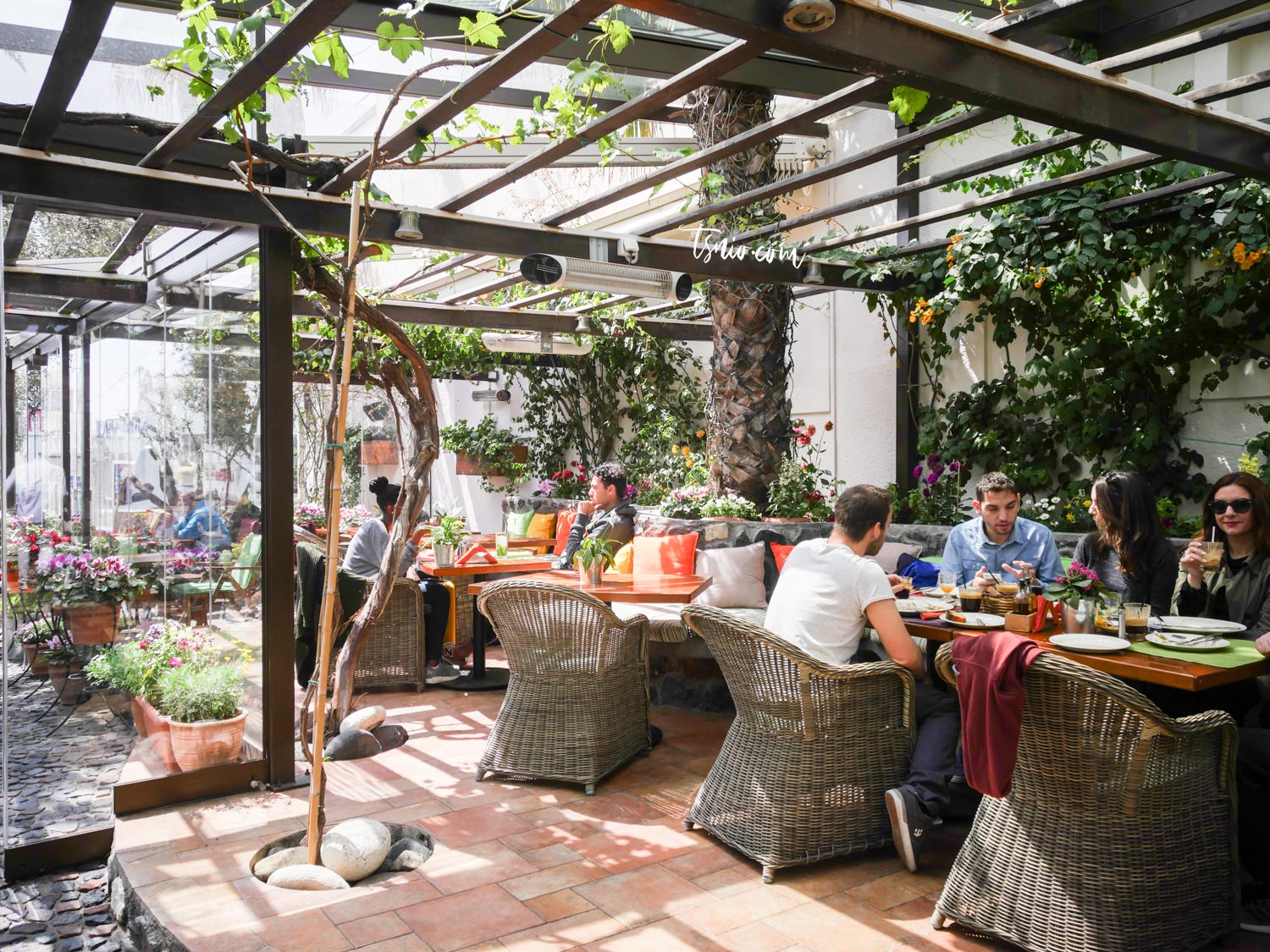 希臘聖托里尼費拉美食推薦 Pelican Kipos Cafe and Wine Restaurant 費拉特色花園餐廳