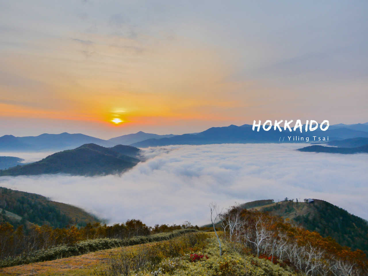 北海道星野 TOMAMU 度假村 夢想中的奢華入住體驗