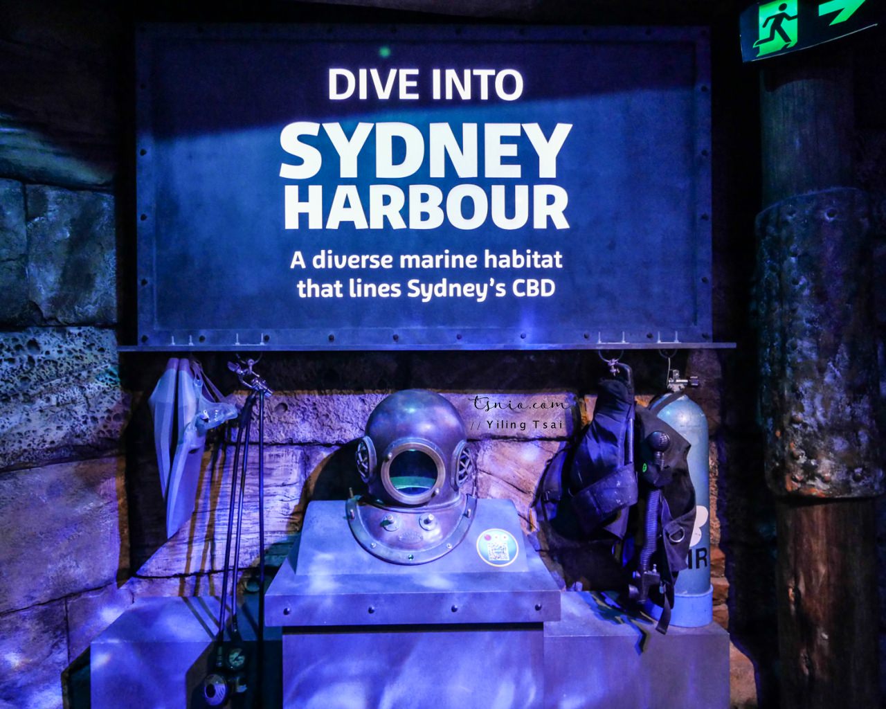 澳洲雪梨景點 SEA LIFE Sydney Aquarium 雪梨水族館