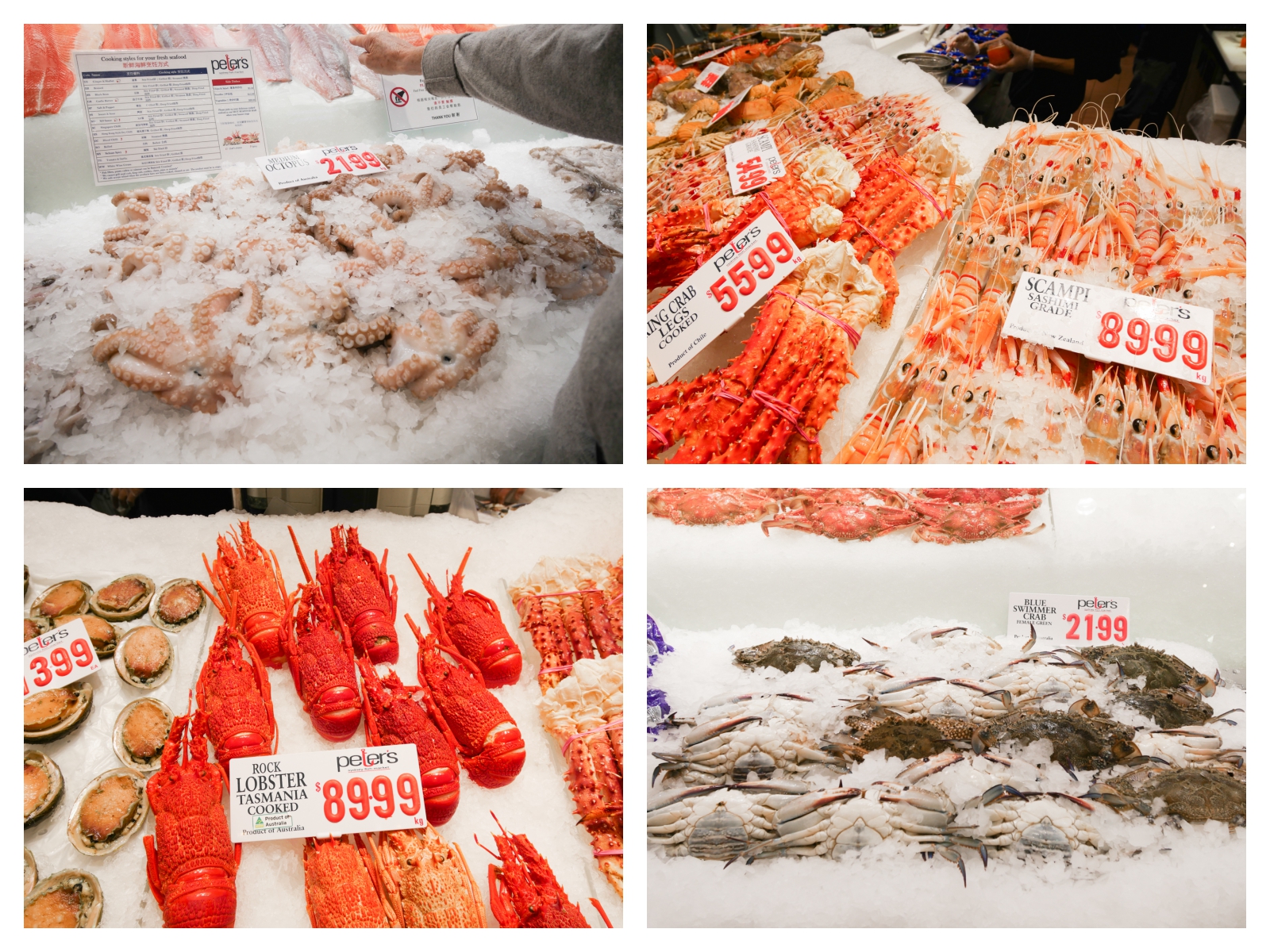 澳洲雪梨景點 Sydney Fish Market 雪梨魚市場 新鮮海產美味生蠔
