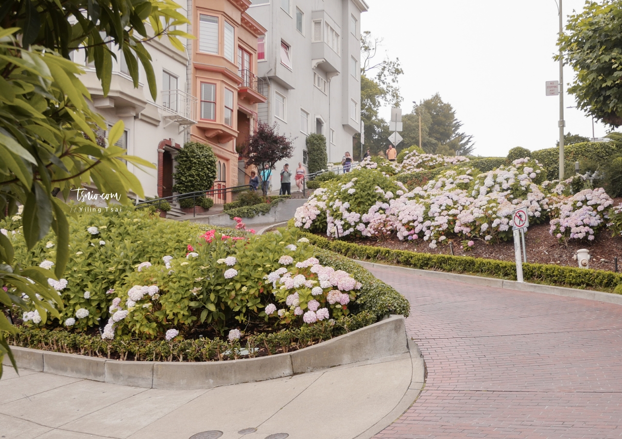 美國舊金山景點 九曲花街 Lombard Street 倫巴底街 九彎十八拐急轉彎斜坡
