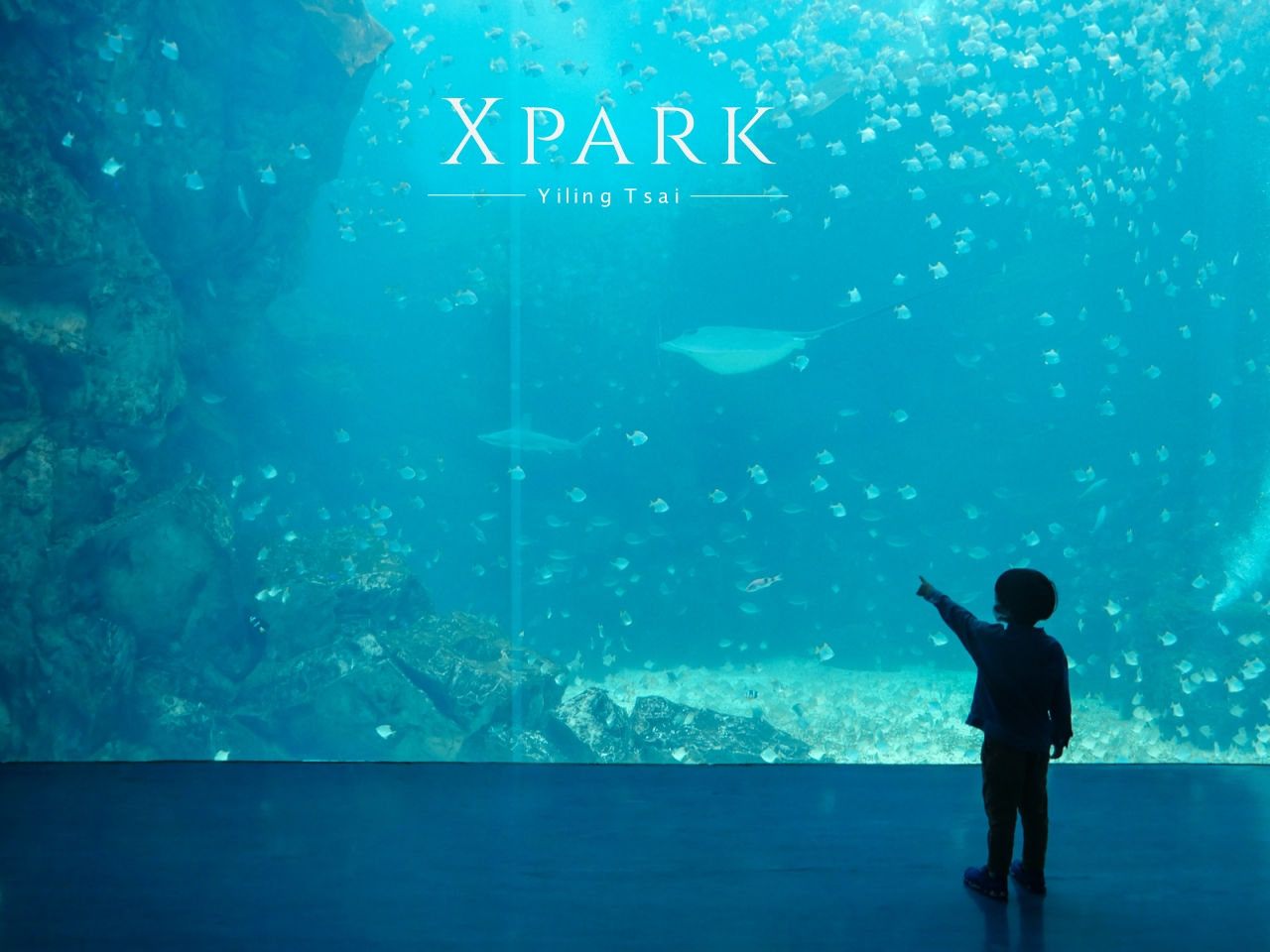 桃園景點 XPARK 都會型水生公園參觀攻略 門票優惠、交通路線、熱門展區介紹