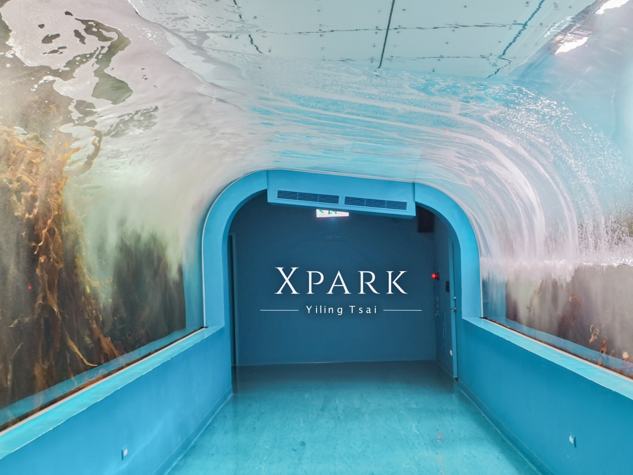 桃園景點 XPARK 都會型水生公園參觀攻略 門票優惠、交通路線、熱門展區介紹