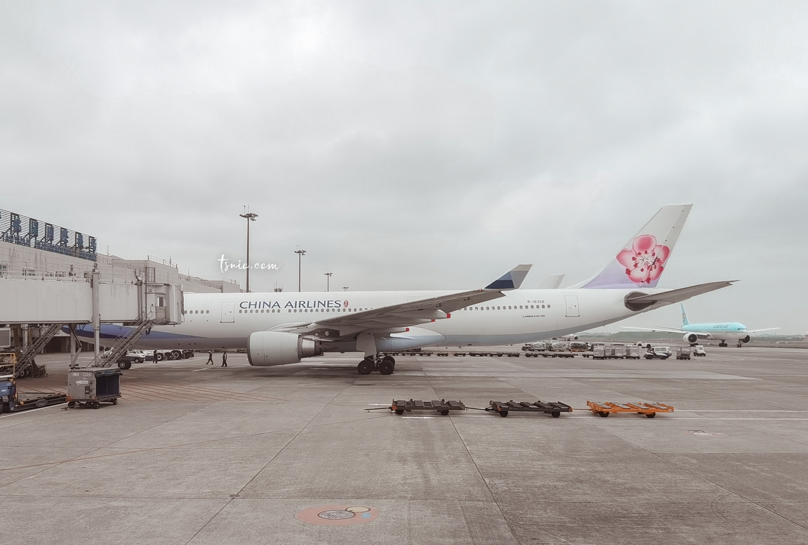 華航直飛帛琉經濟艙，台北TPE往返帛琉ROR航班CI27、CI28 搭乘經驗分享