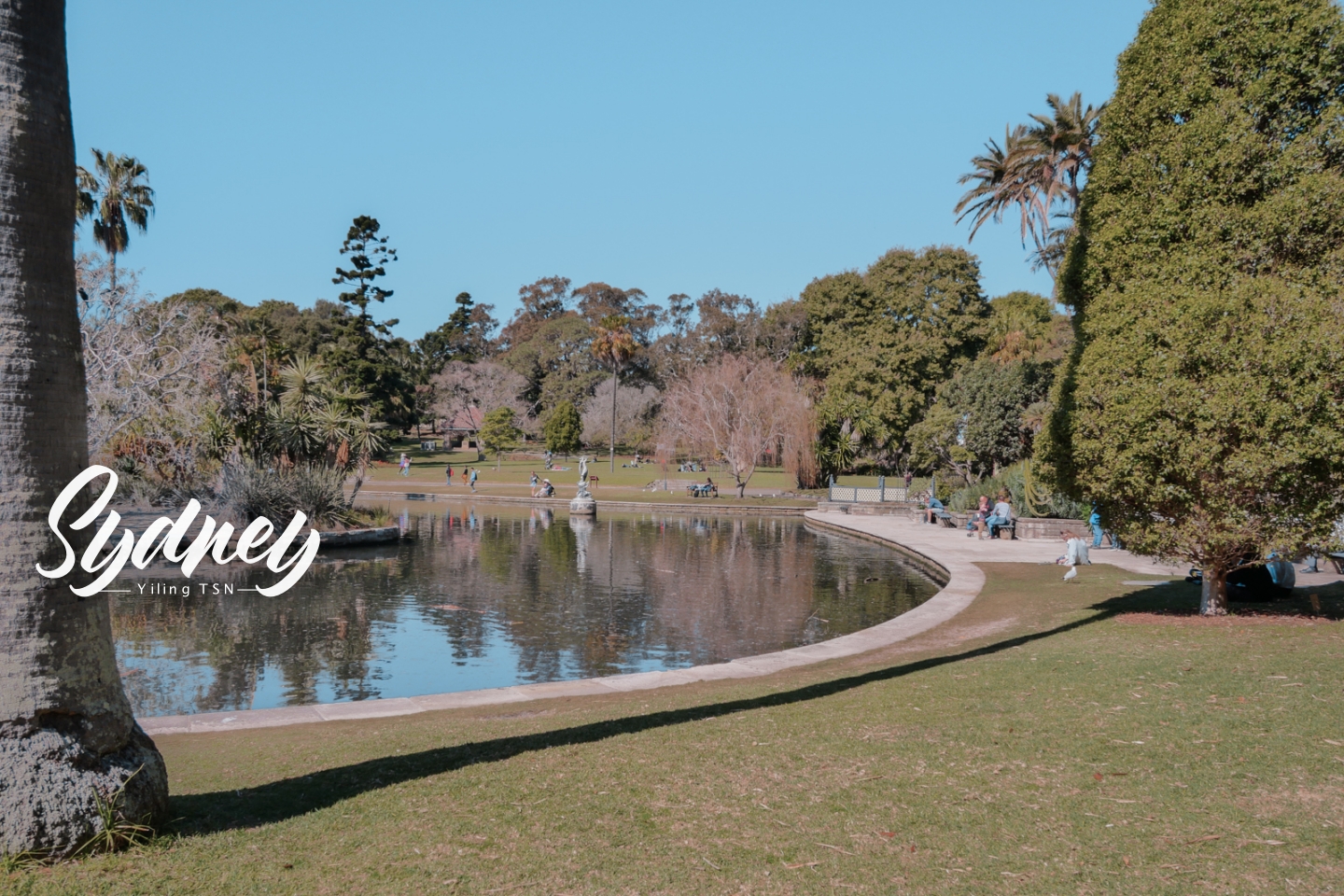 澳洲雪梨景點 雪梨皇家植物園 The Royal Botanic Garden 市區中的清新綠洲