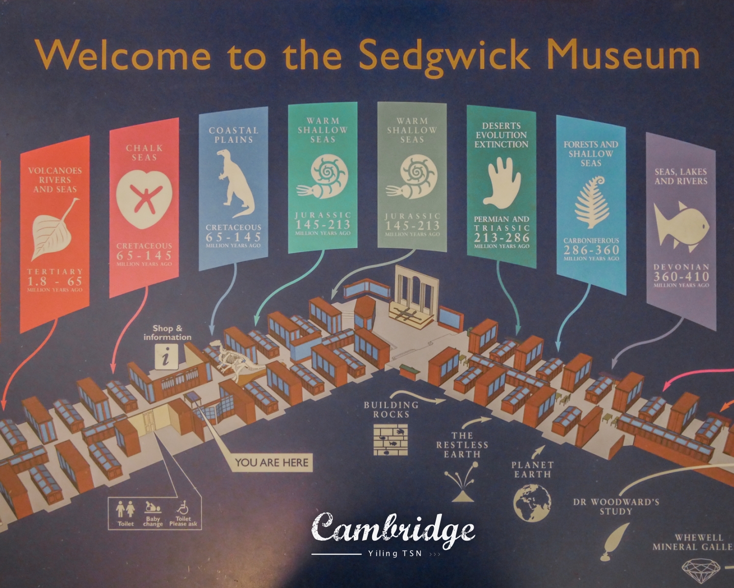 英國劍橋景點 Sedgwick Museum of Earth Sciences