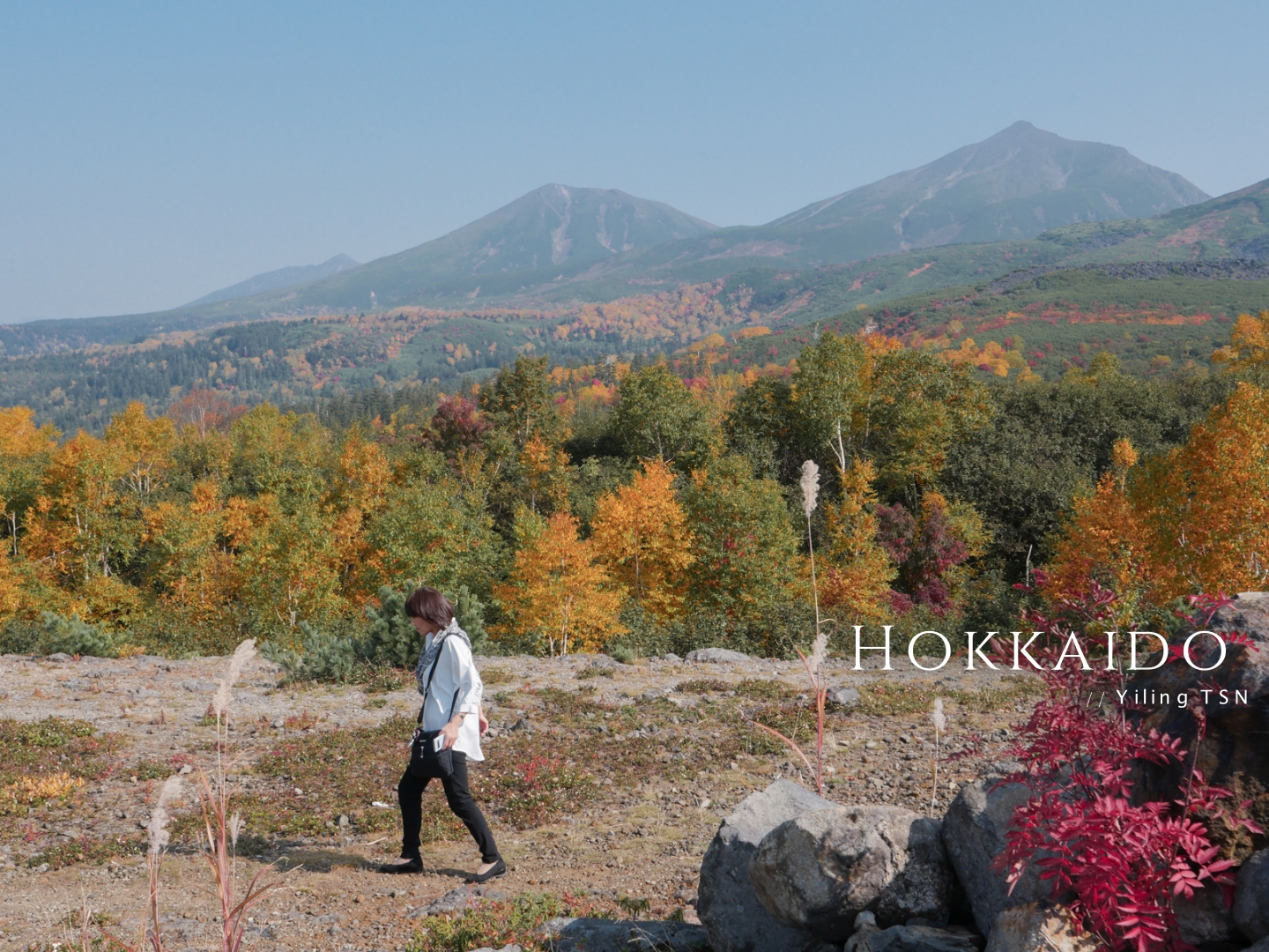 日本北海道美瑛景點 十勝岳望岳台 絕美秋季迷人色彩