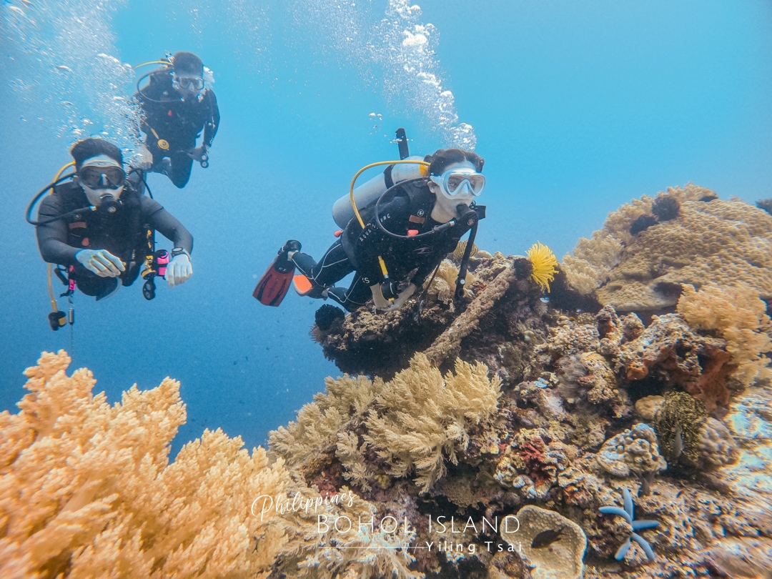 菲律賓宿霧薄荷島潛水考照：PADI Open Water 菲律賓學潛水心得分享