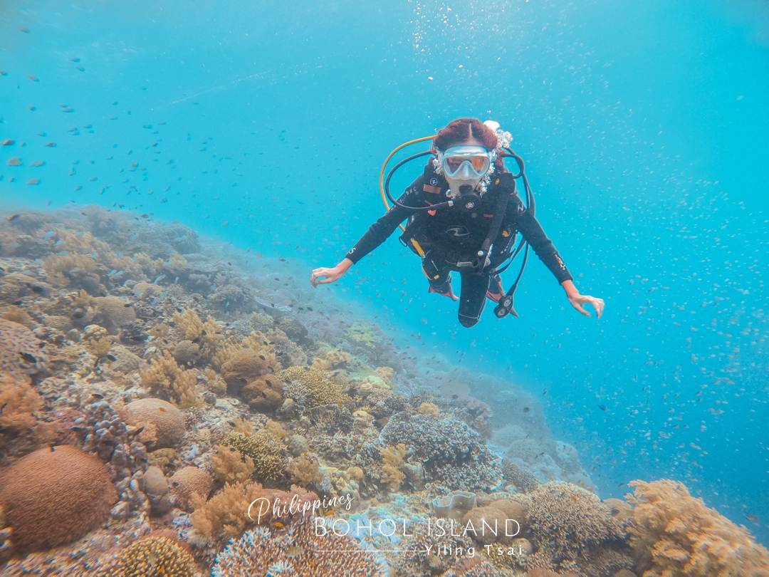 菲律賓薄荷島潛水｜巴里卡薩島大斷層 Balicasag Island，潛水天堂與傑克魚風暴的浪漫相遇