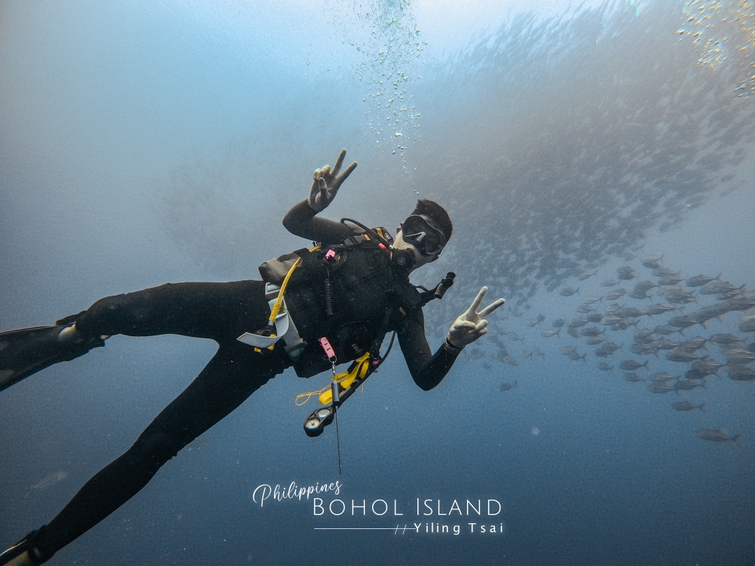 菲律賓薄荷島潛水｜巴里卡薩島大斷層 Balicasag Island，潛水天堂與傑克魚風暴的浪漫相遇