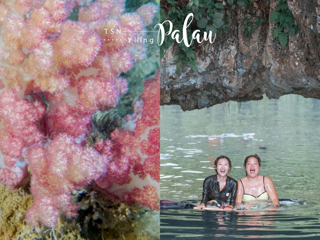 帛琉景點｜七彩軟珊瑚 Soft Coral Arch：夢幻海蝕洞五顏六色軟珊瑚
