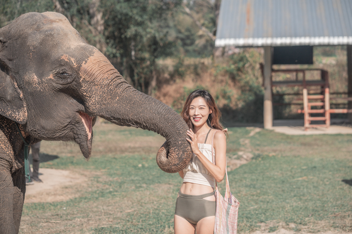 泰國清邁大象體驗營：與大象的近距離接觸，清邁大象保護區
