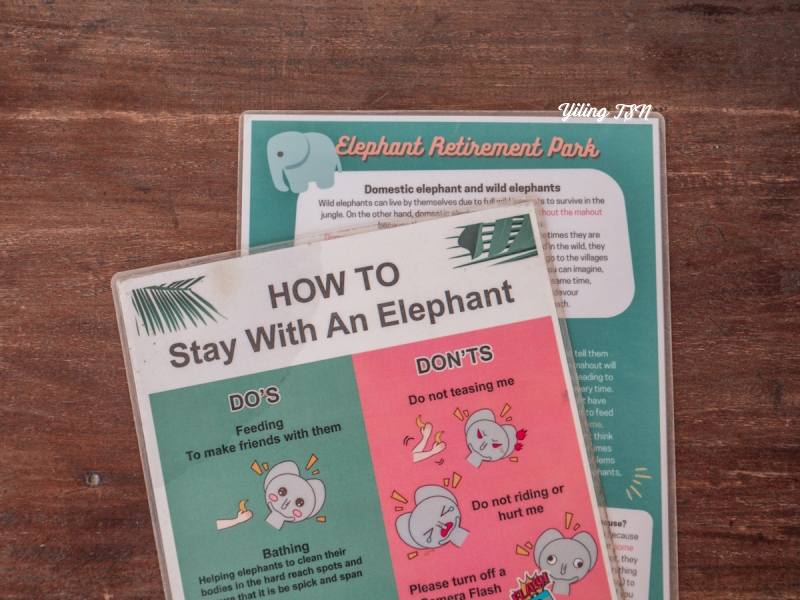 泰國清邁大象體驗營：與大象的近距離接觸，清邁大象保護區