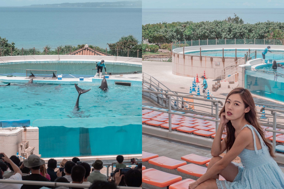 沖繩景點｜美麗海水族館：交通、門票、設施總整理