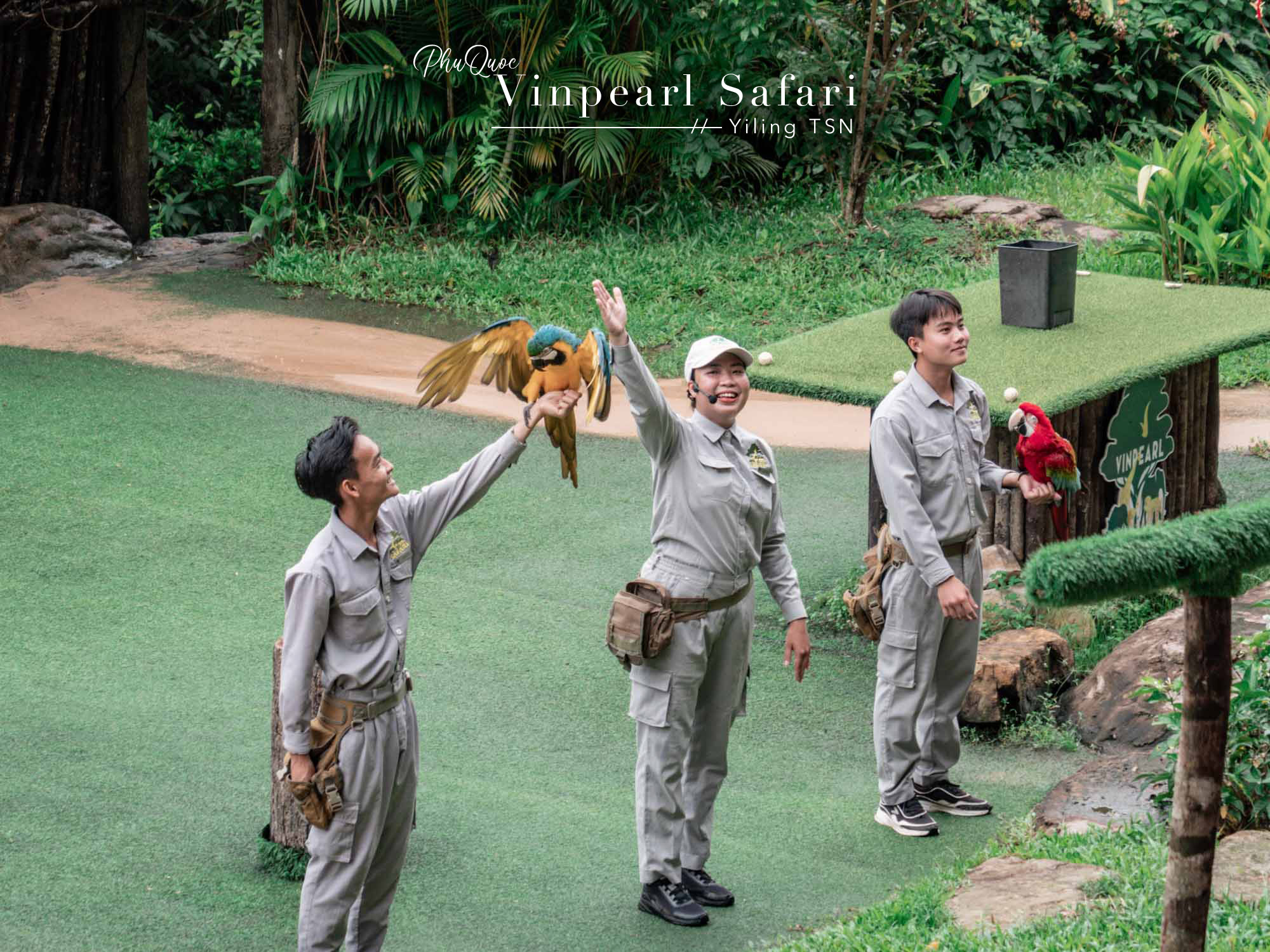 富國島景點｜Vinpearl Safari Phu Quoc 富國島珍珠野生動物園：搭乘遊園車被野生動物觀看，與長頸鹿狐猴大象近距離接觸
