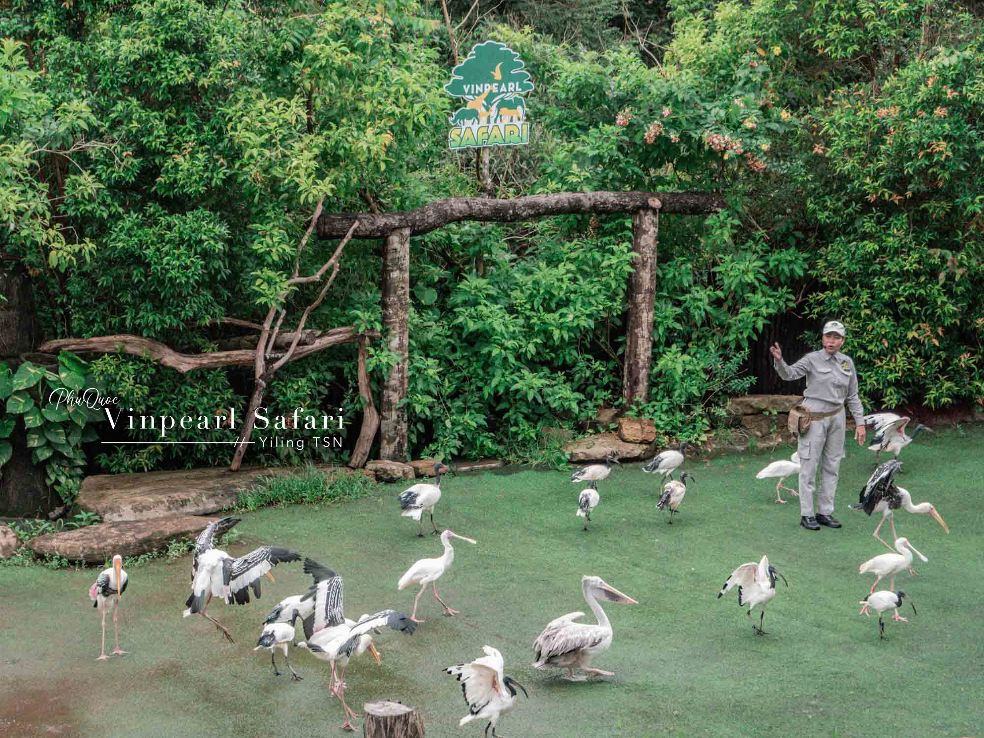 富國島景點｜Vinpearl Safari Phu Quoc 富國島珍珠野生動物園：搭乘遊園車被野生動物觀看，與長頸鹿狐猴大象近距離接觸