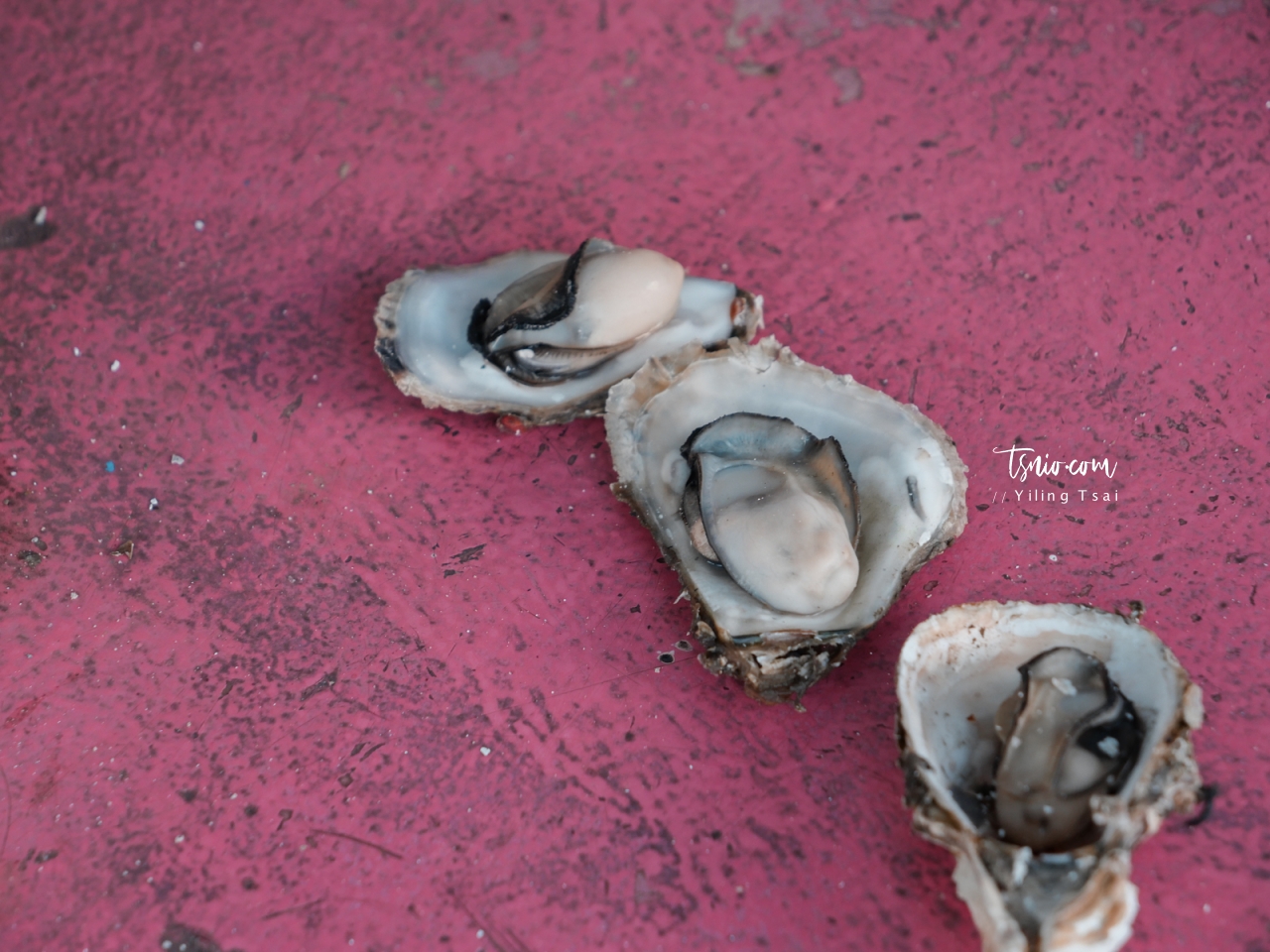 澎湖海洋牧場海上皇宮 烤牡蠣海鮮粥吃到飽 釣魚體驗 卡拉 OK