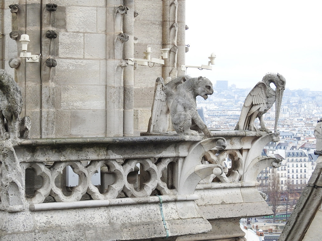 [法國 巴黎] 聖母院 西堤島必訪景點 登上塔頂看怪獸